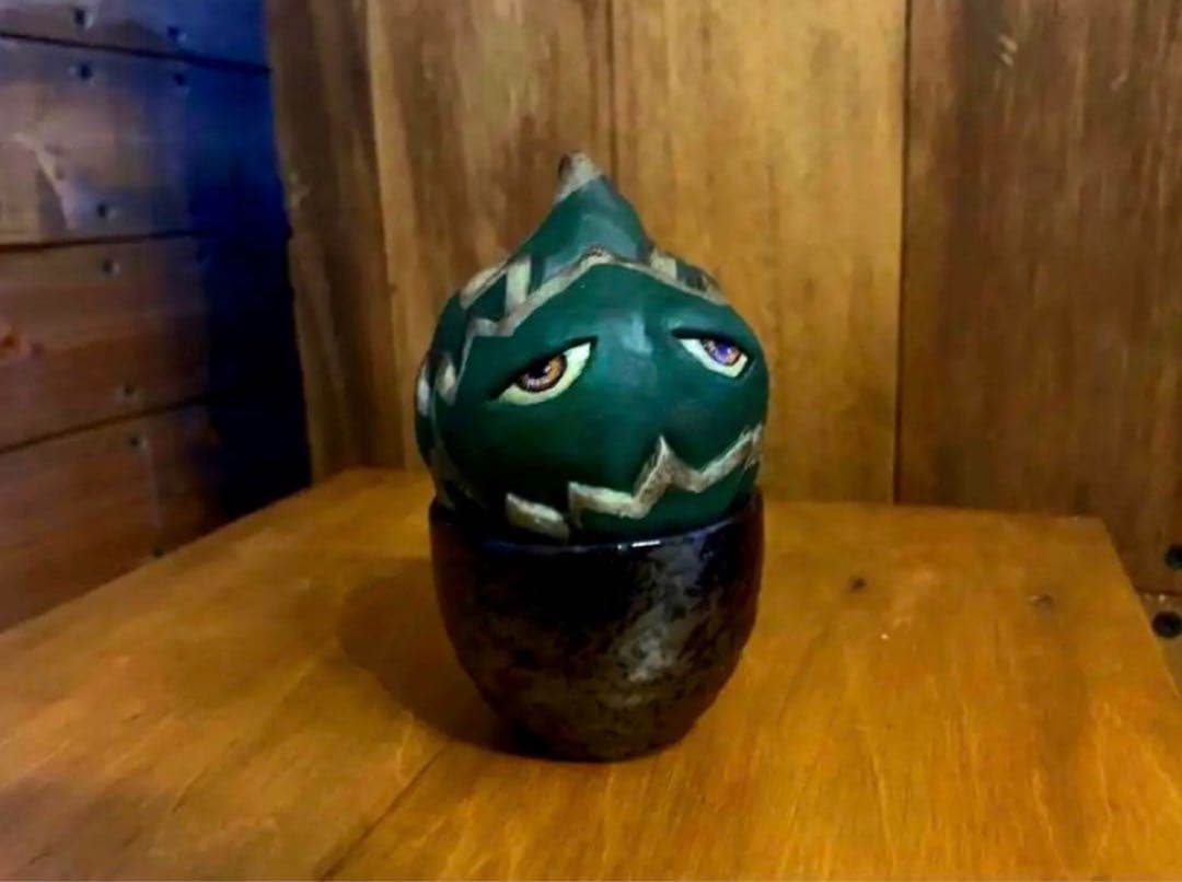 【Masa】パキポーズ　グラキリス、アガベ