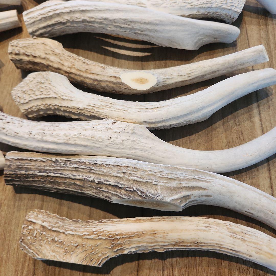 ぶち　鹿の角 (特大～大サイズ)犬用おもちゃ ランダム　2kg　8本