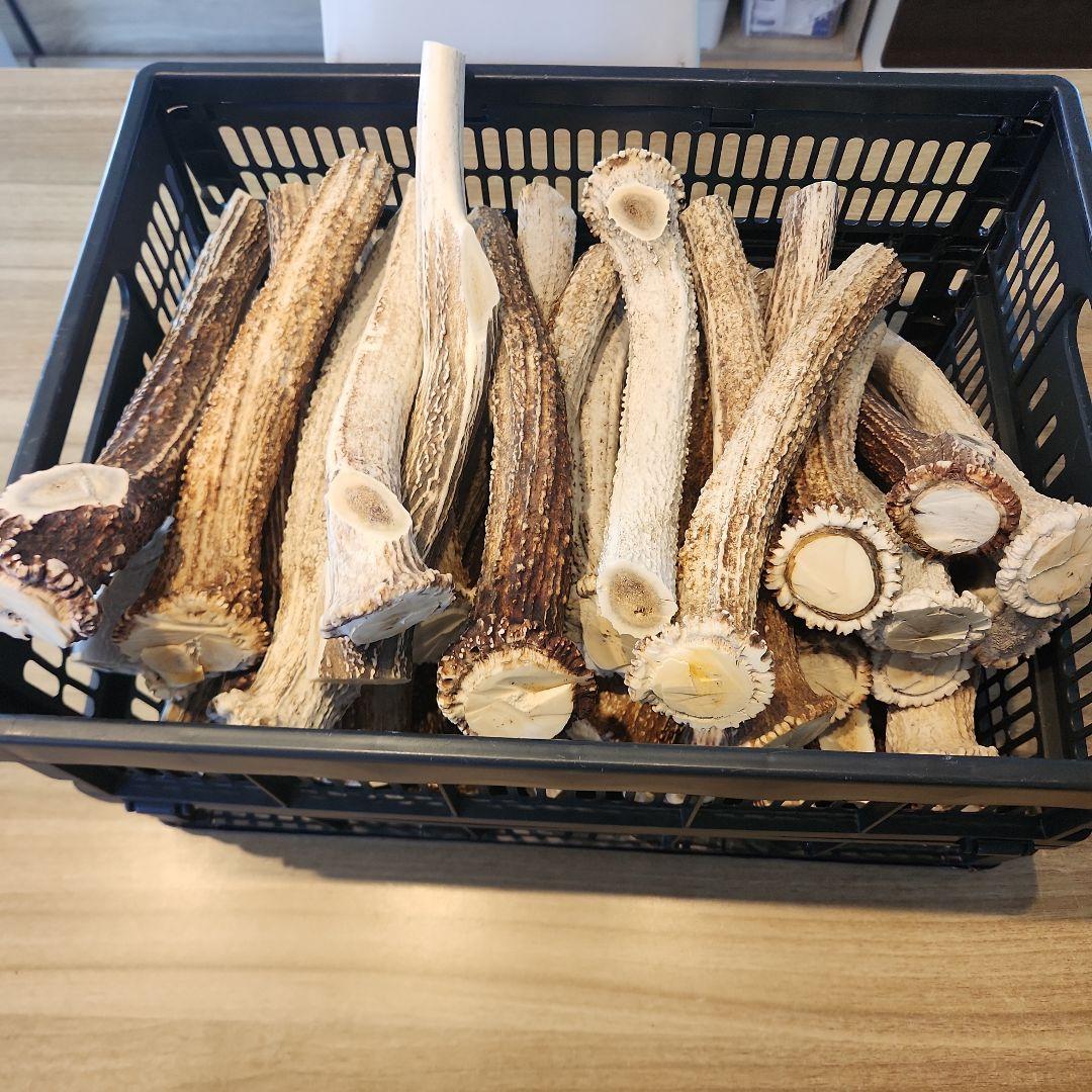 ぶち　鹿の角 (特大～大サイズ)犬用おもちゃ ランダム　2kg　8本