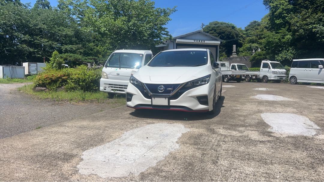 ZE1 AZE0　日産 リーフ　BLITZ DAMPER ZZR　車高調