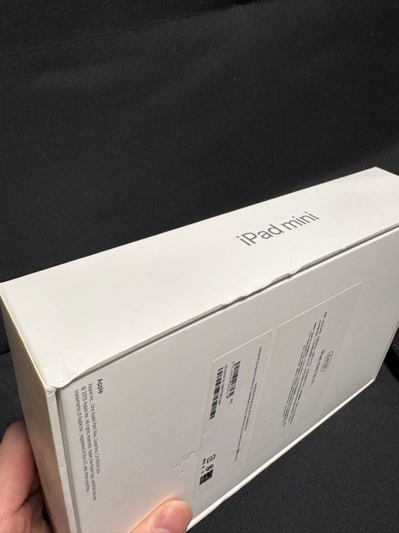 iPad mini Wi-Fi 64GB シルバー（第5世代）＋黒ケース付き