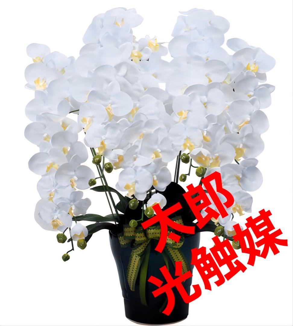 光触媒　人工観葉植物　ウォールグリーン　フェイクグリーン　ロイヤル胡蝶蘭５本立W