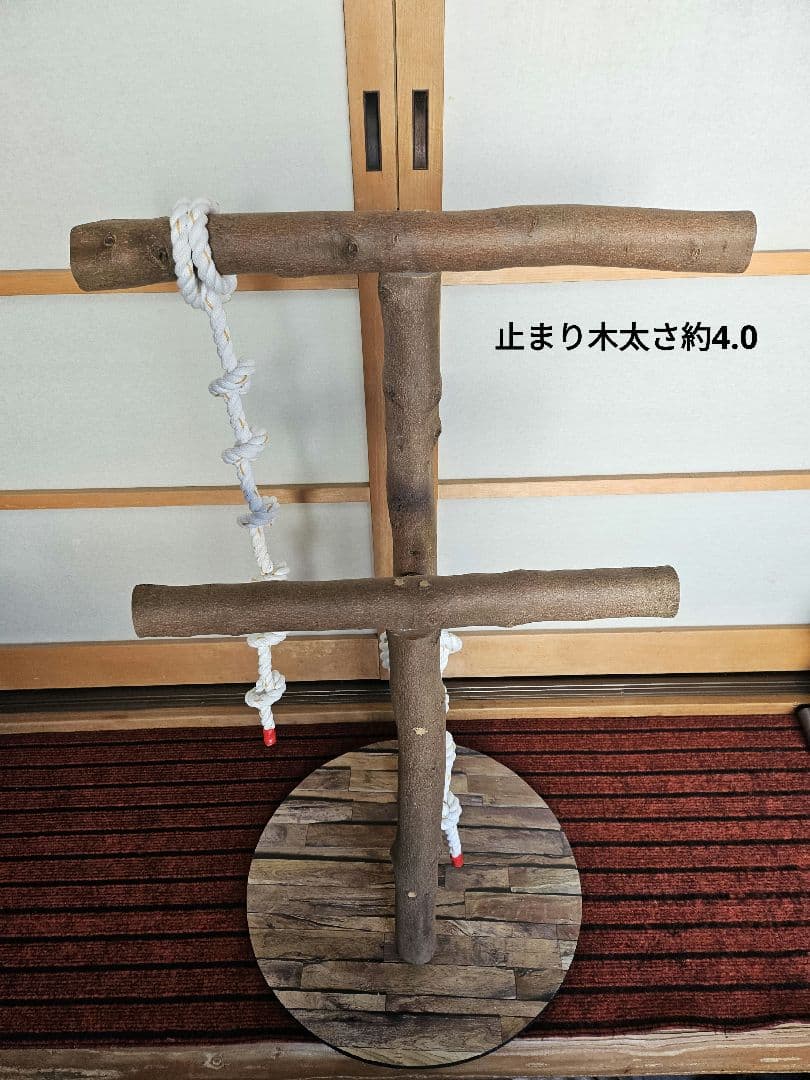 オウムスタンド(ヨウム用)