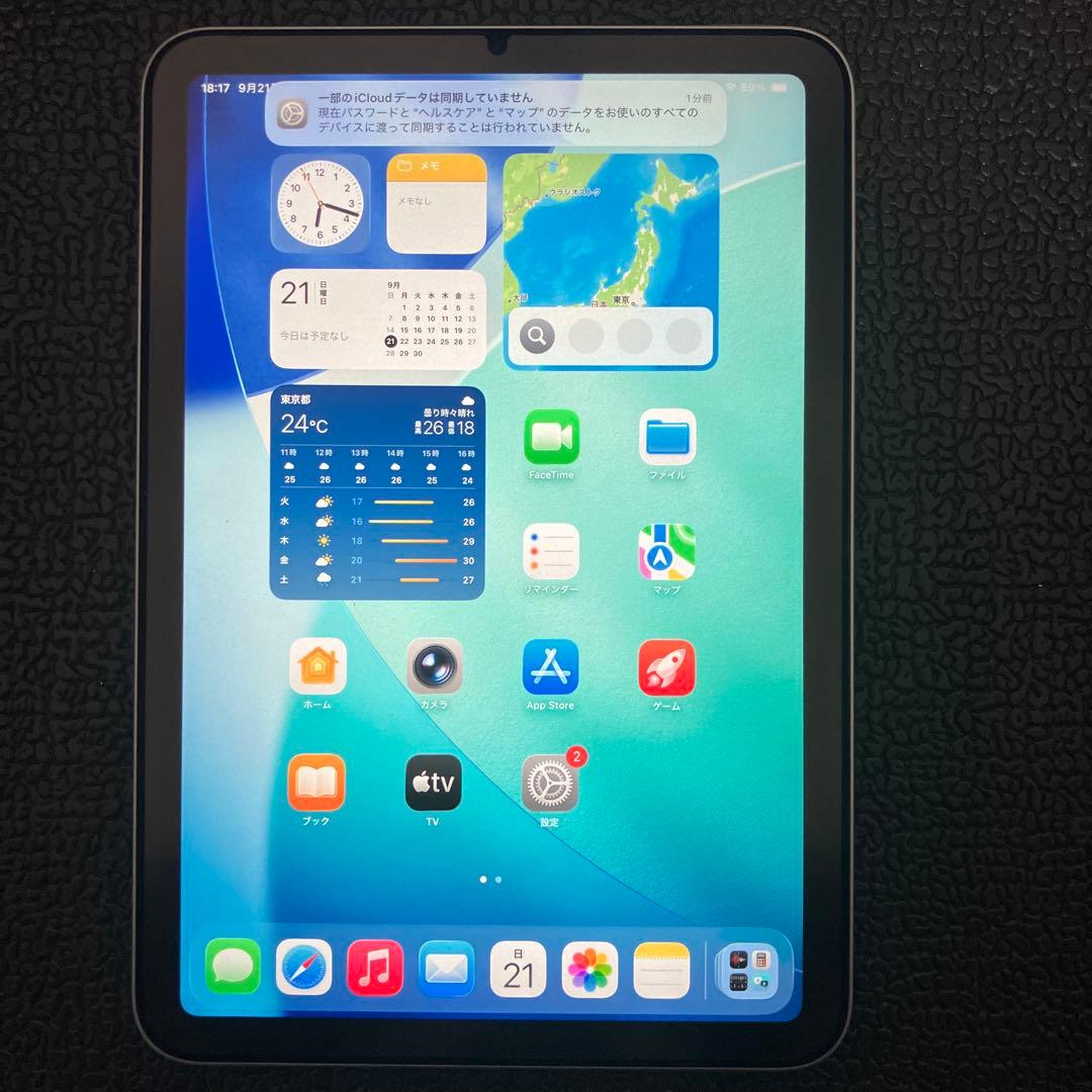 iPad 本体 mini 第7世代 256GB