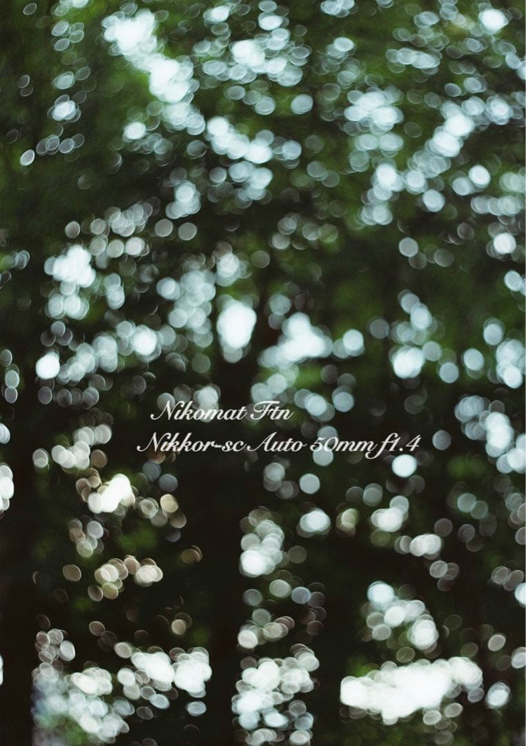 nikon ftn＊50mm f1.4★完動品＊美品＊初期保証＊作例多数！