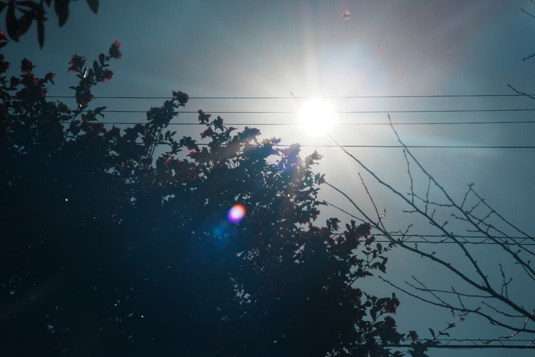 【整備＆テスト済】Nikon SERIES E 100mm F2.8 873