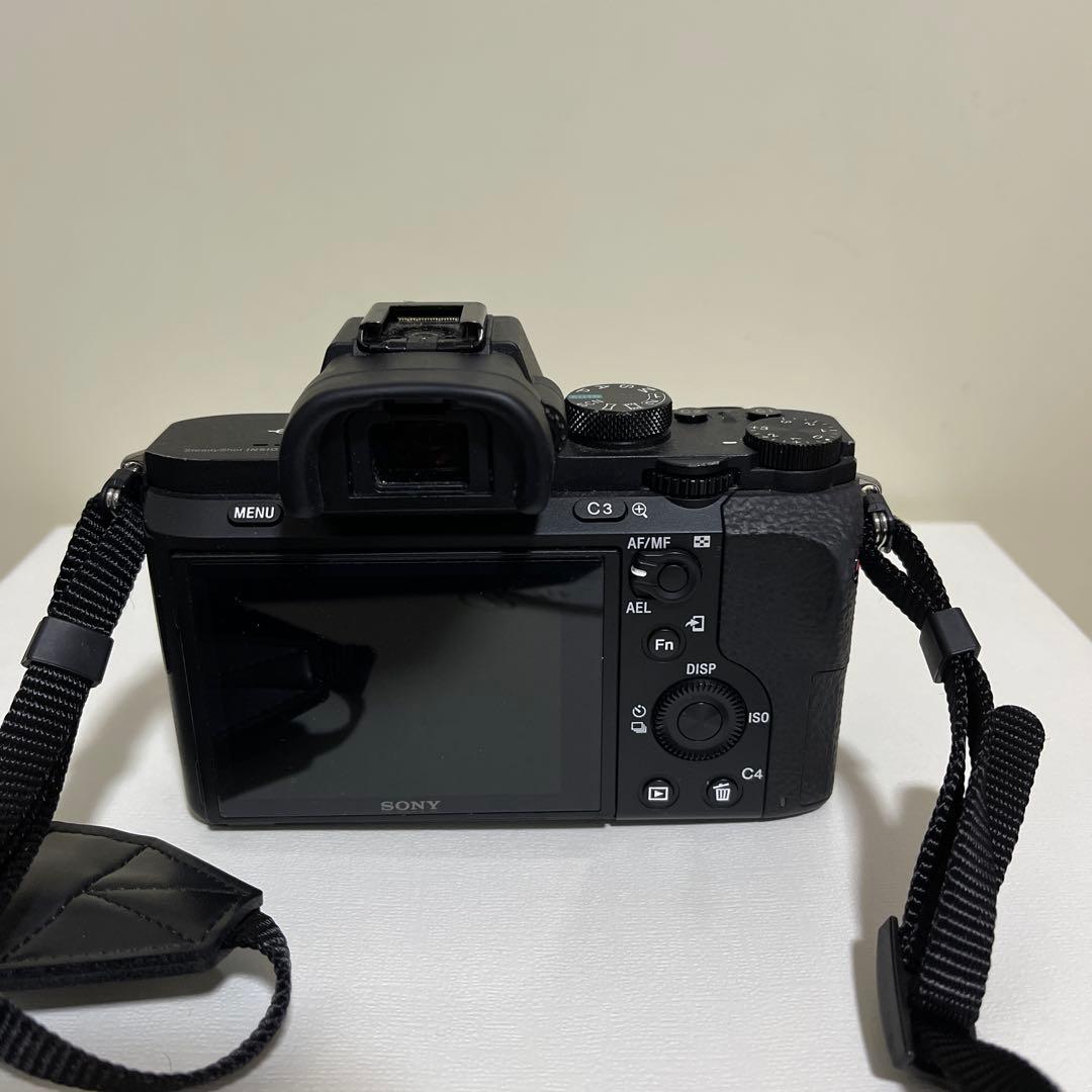 SONY α7Ⅱ( ILCE-7M2 )/ SONY FE 85mm F1.8