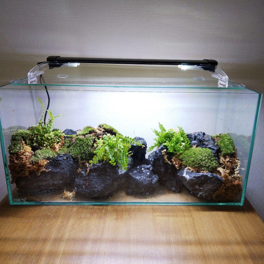 もじのすけページ