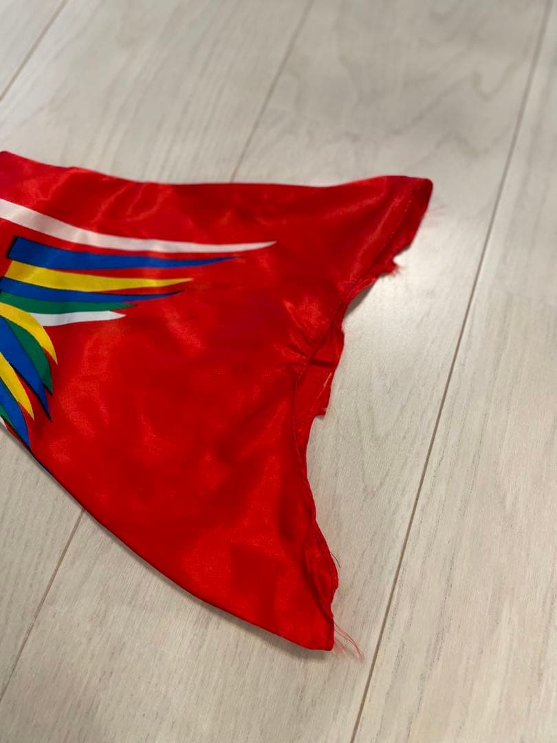 鯉のぼり　端午の節句　こどもの日