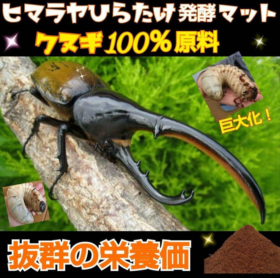 カブトムシ幼虫が大きくなる！発酵マット【たっぷり6袋】雑虫、コバエが湧かない！