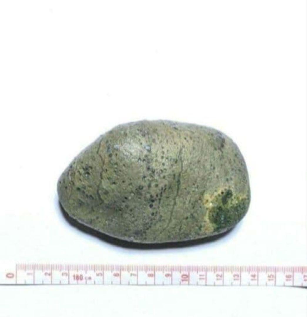 青森県産 今別町産 袰月産 舎利母石 原石 奇石 安山岩 子持ち石 一点物 D