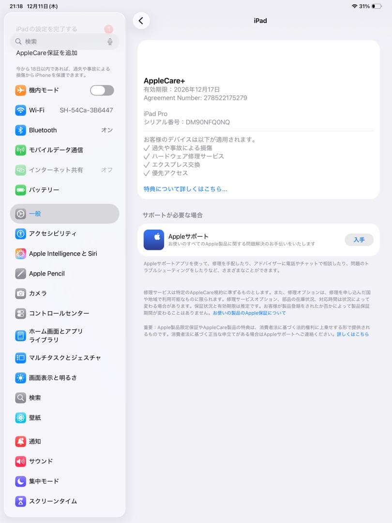 iPad Pro M4 13インチ Cellular Nano 1TB