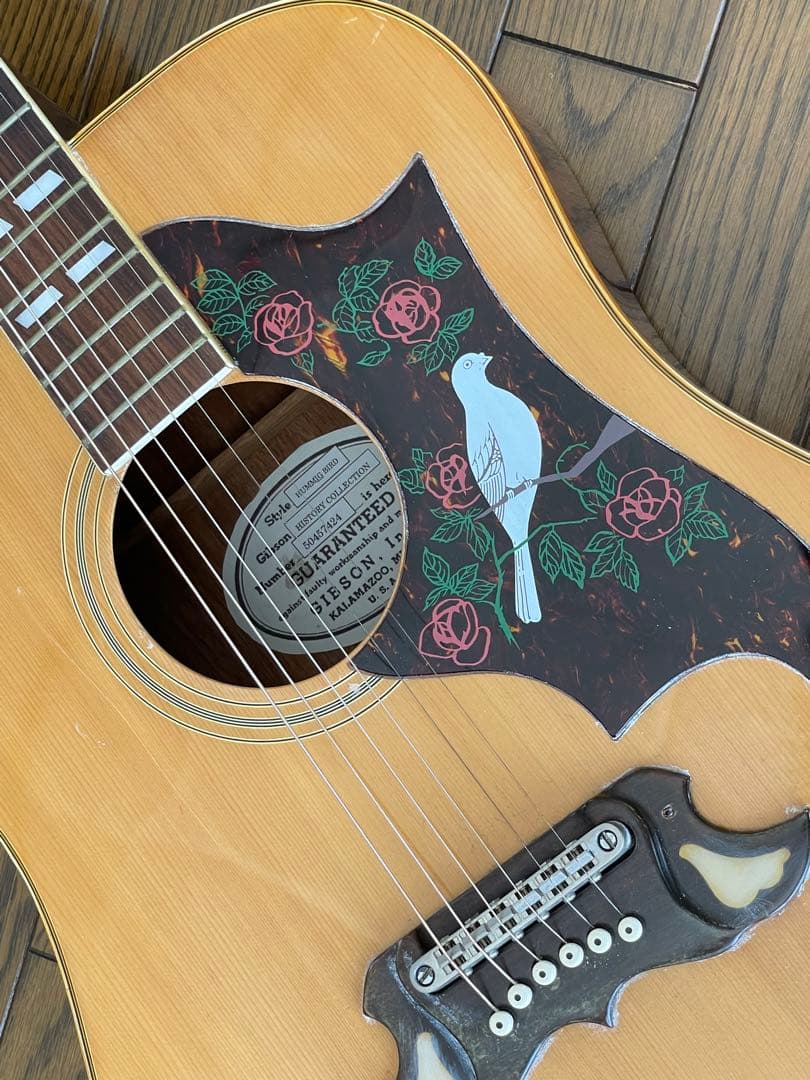 エレアコ仕様 　なにかと話題のTomson DOVEモデル(多分)