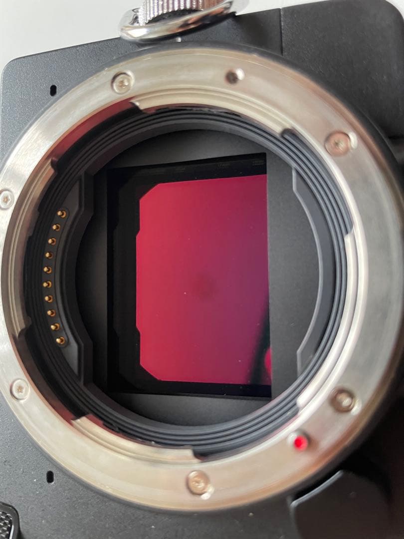 SIGMA fp ボディ 予備バッテリー2個・充電器付