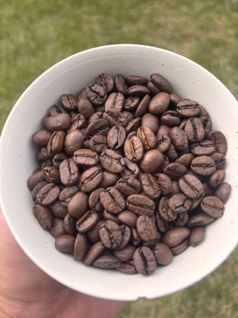 ムジャラヒ様スペシャルティコーヒーセット