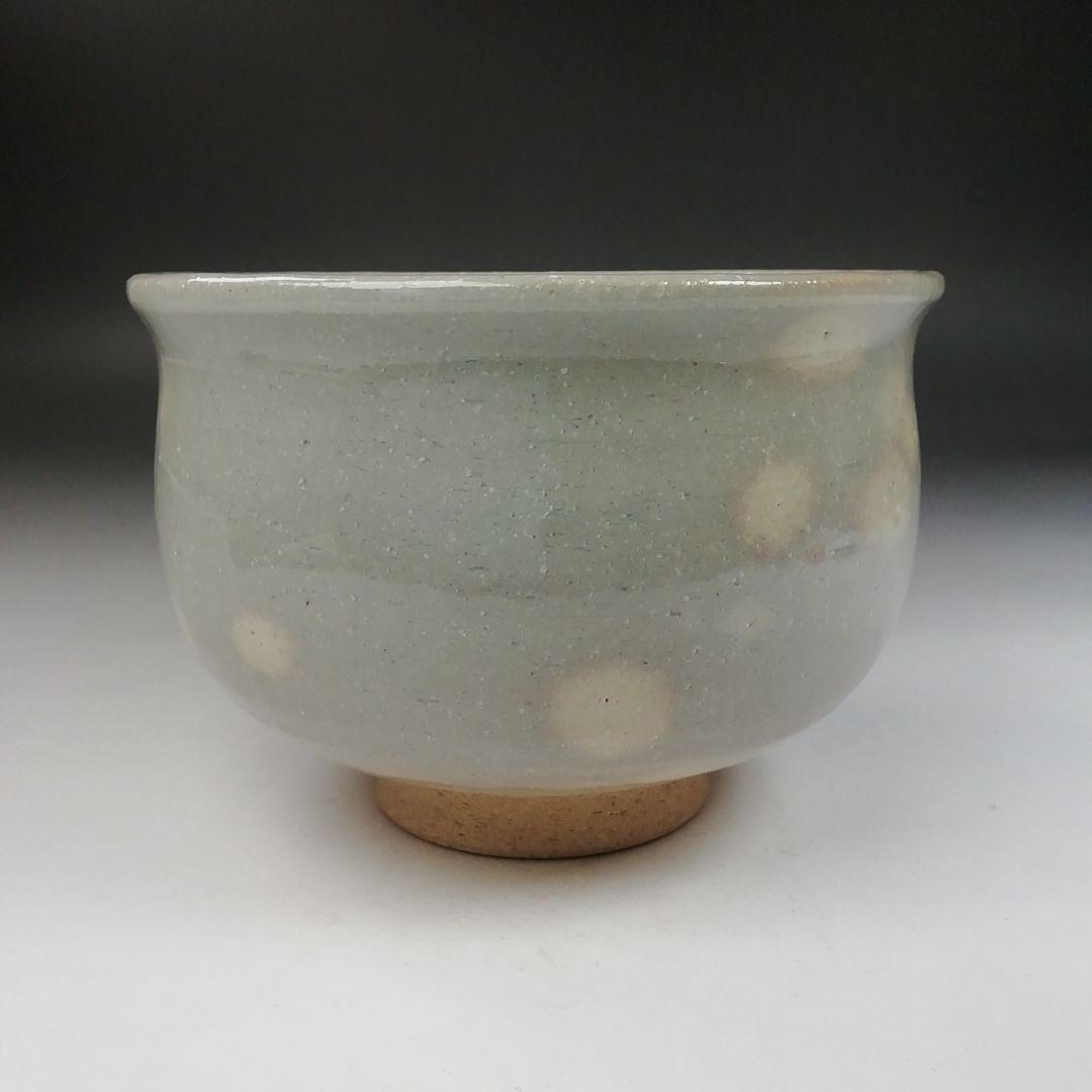 Ｗ１６４　茶碗　『竹虎に雲龍』『寺尾智泉 造』　共箱　抹茶碗　茶道具