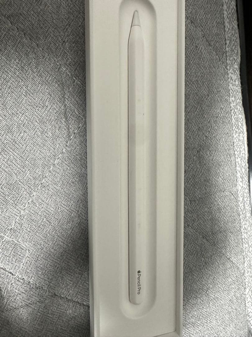 iPad Pro (M4)11インチ WiFiモデル 512GBおまけ付き