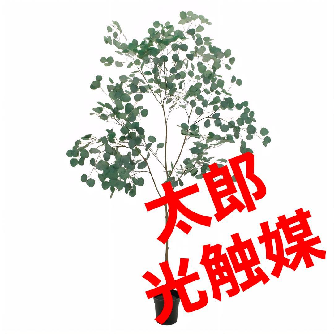光触媒　人工観葉植物　ウォールグリーン　フェイクグリーン　ユーカリポット180