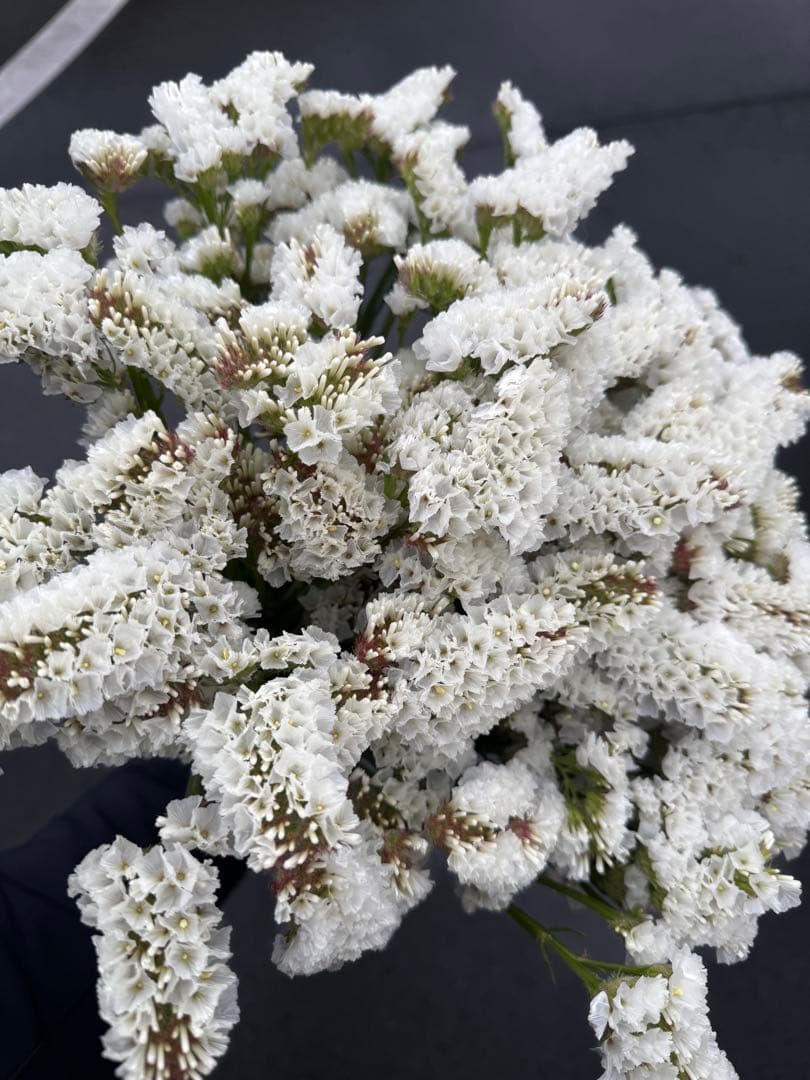 Kurian様 リクエスト 2点 まとめ商品