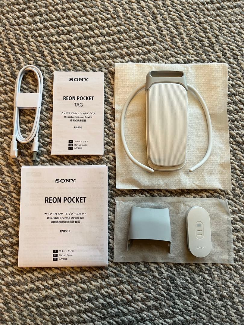 REONPOCKET5 SONY ソニー