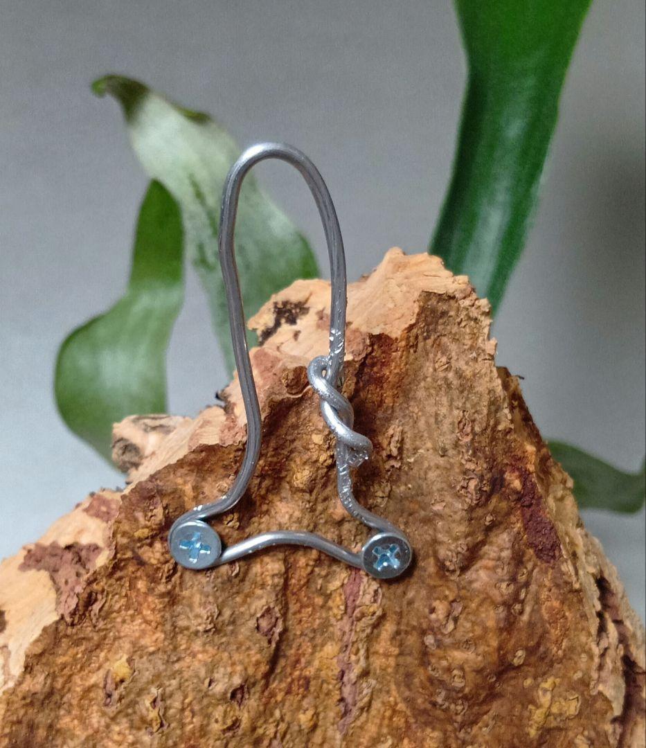 壁掛けビカクシダ　親株　ビフルカツム　コルク付け