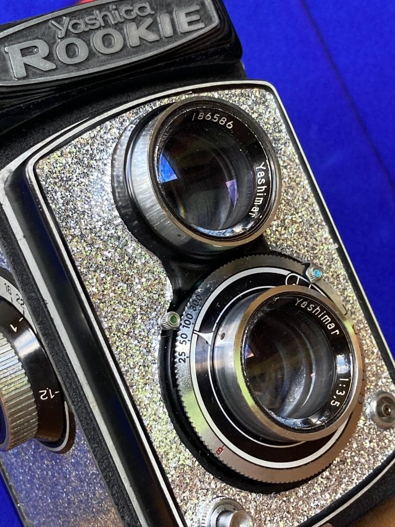 キラキラ感　春のきらめき　YASHICA ROOKIE　FOR　INTERIOR