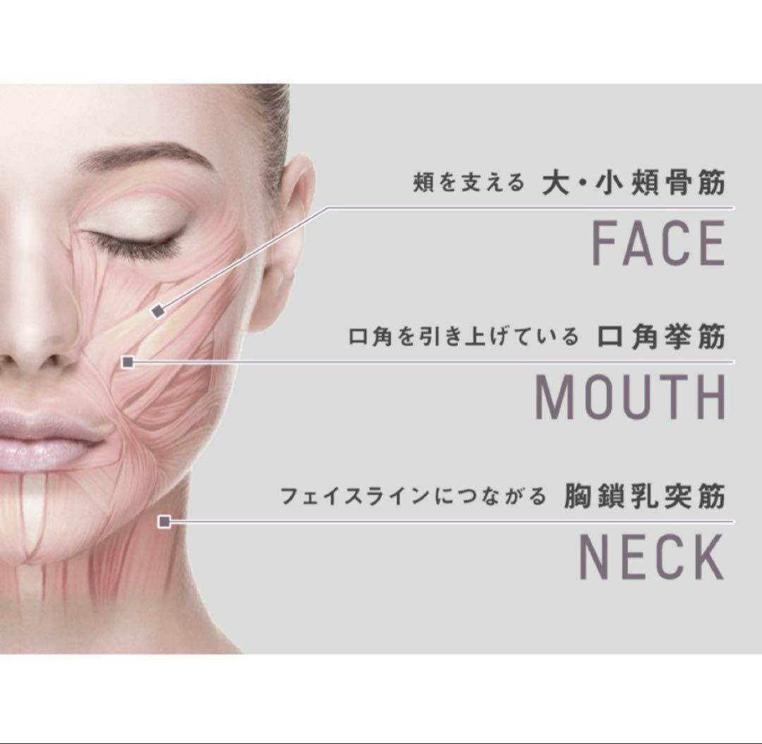 Panasonic パナソニック　バイタリフト かっさ　美顔器　EH-SP86