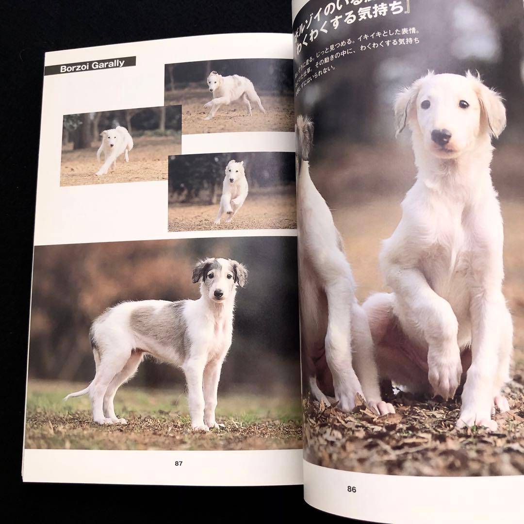 「ボルゾイの事典  ― 性格、飼育、沿革、繁殖まですべてがわかる決定版」大関京子