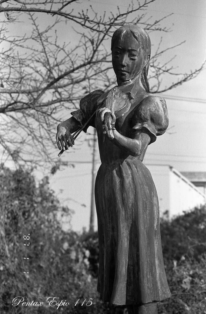 【フィルム実写作例あり】PENTAX ESPIO 115 コンパクトカメラ