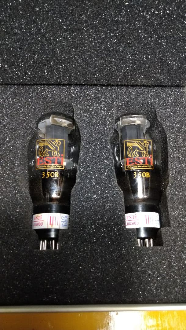 350B／6L6G.２本組、中国製