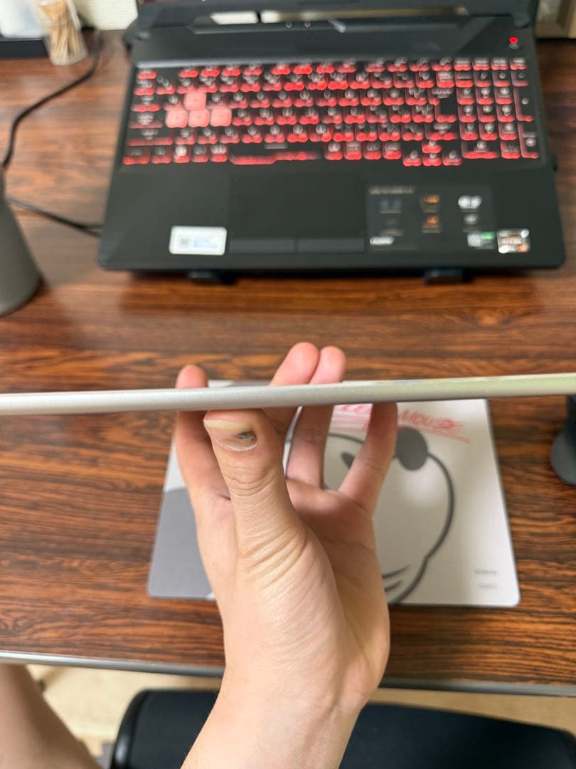 Apple iPad mini (第4世代) 64GB