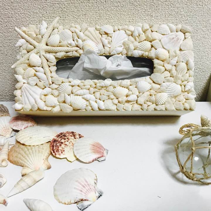 ティッシュケース 西海岸 貝殻 シェル ロンハーマン