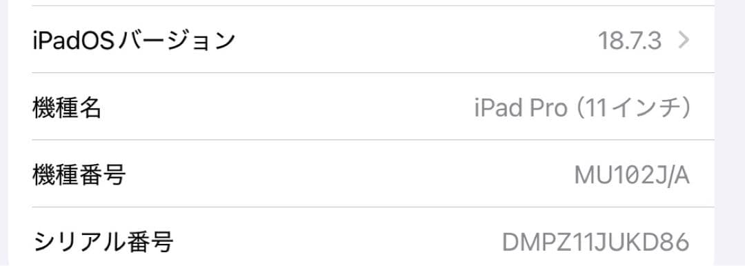 値下げ❗️iPad pro11インチ 256GB Wi-Fiモデル
