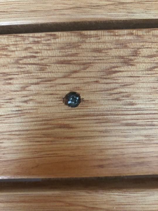 天然木100% ロフトベッド(ハシゴ付き)-（株）奥本木工所 商品-