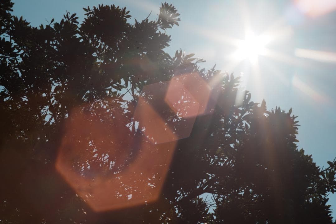 整備＆テスト ミノルタ MC TELE ROKKOR 100mm F2.5 41