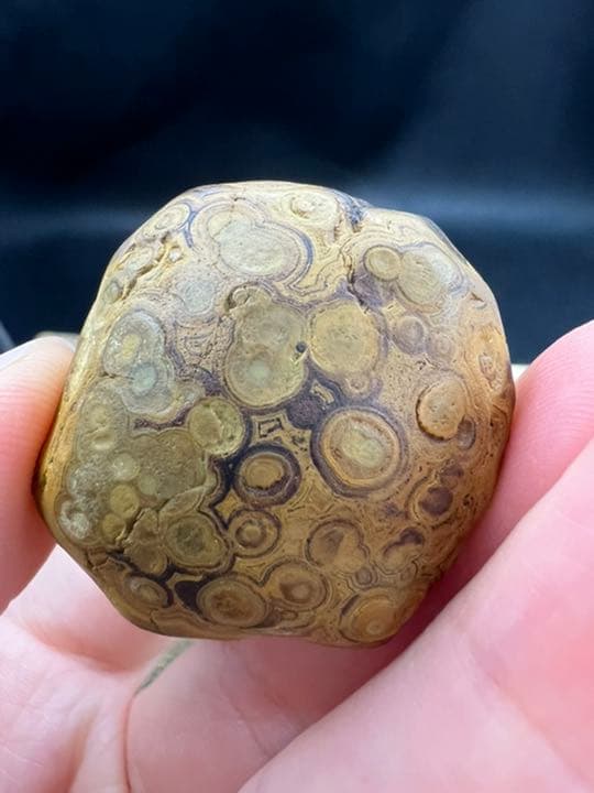 060324　超希少　8字天眼九眼頁岩石原石33*35ミリ