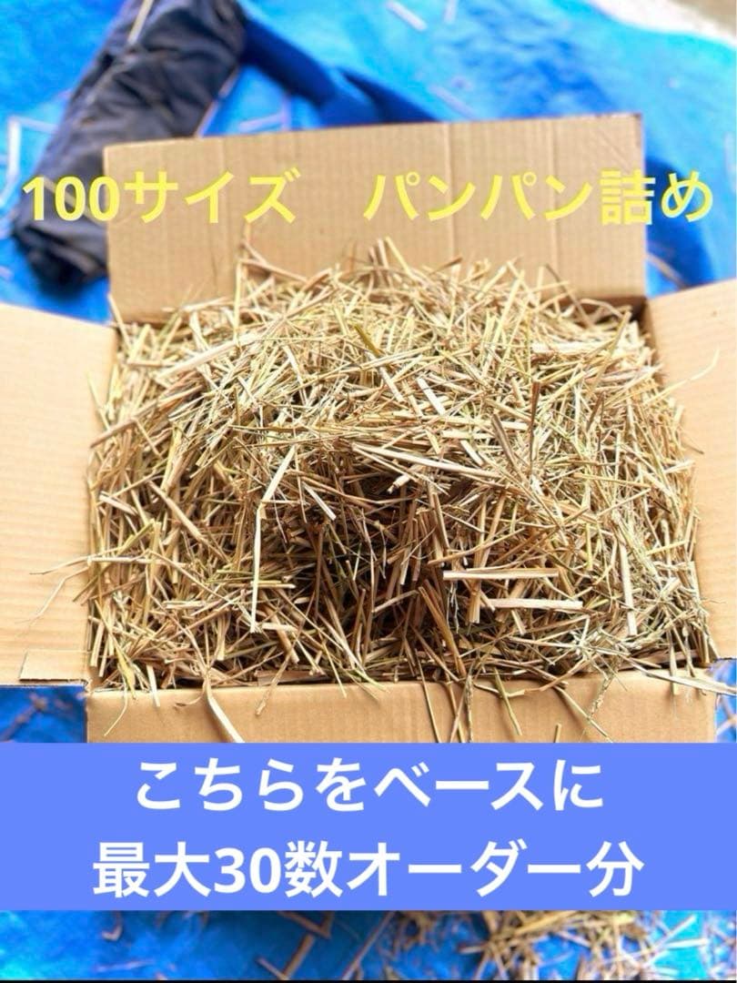 2025年収穫 無肥料　農薬不使用　カット稲わら 発送最大180〜200サイズ