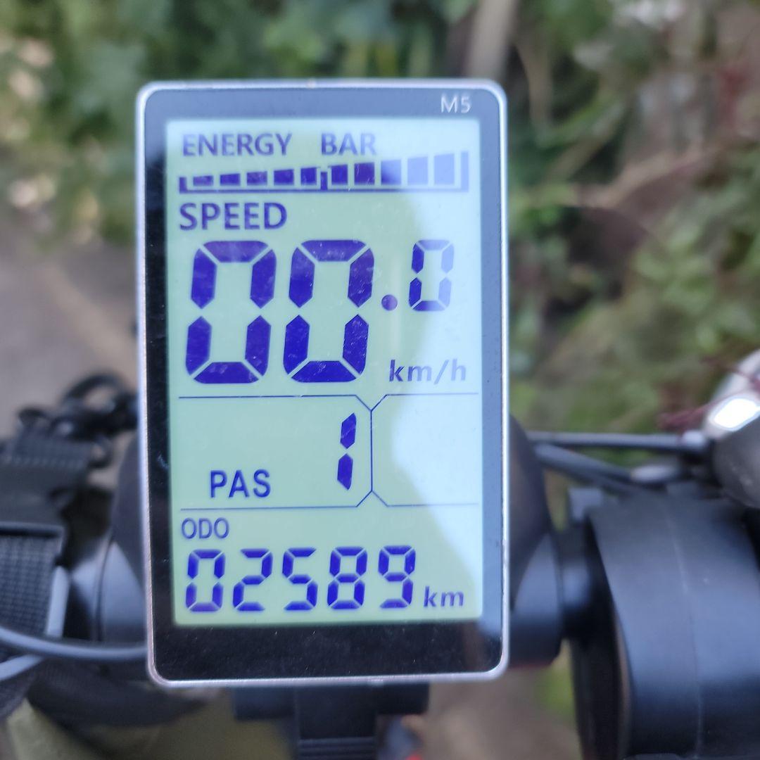 SUNPIE 電動アシスト自転車 太タイヤ 48V