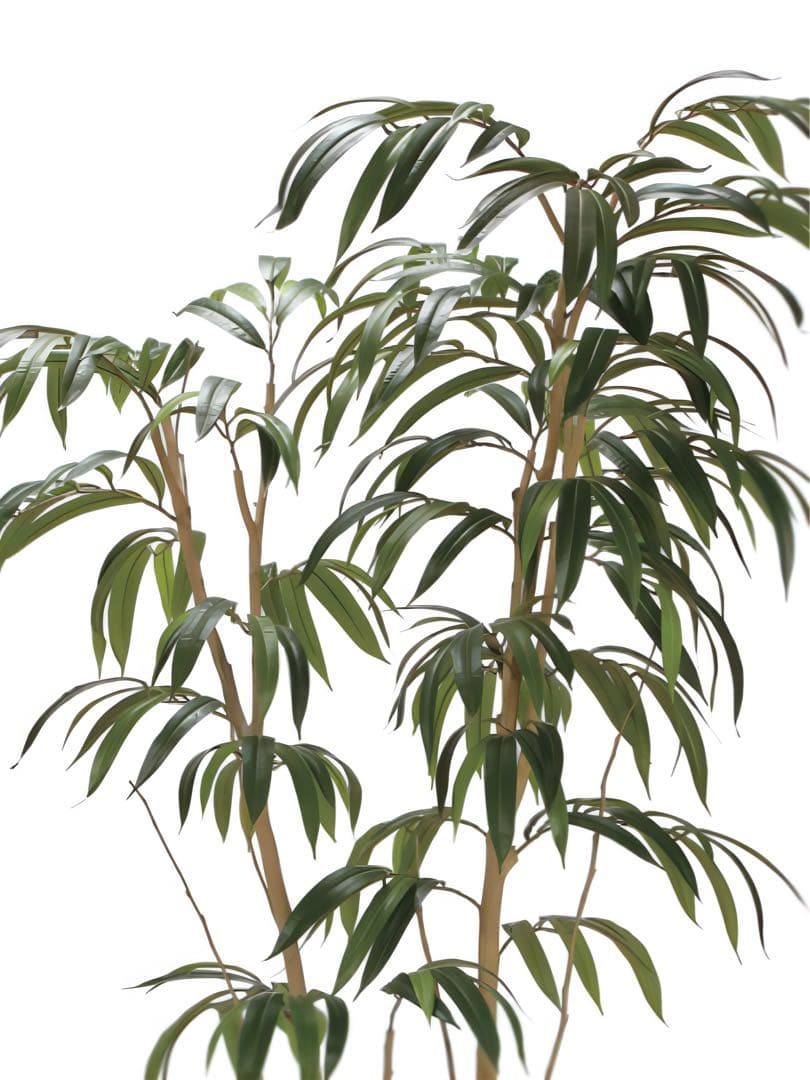 光触媒　人工観葉植物　フェイクグリーン ショウナンゴム1.8