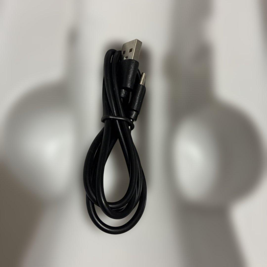 ぜんさん　TECO Lくりん minnie オゾンスプレー TT-350