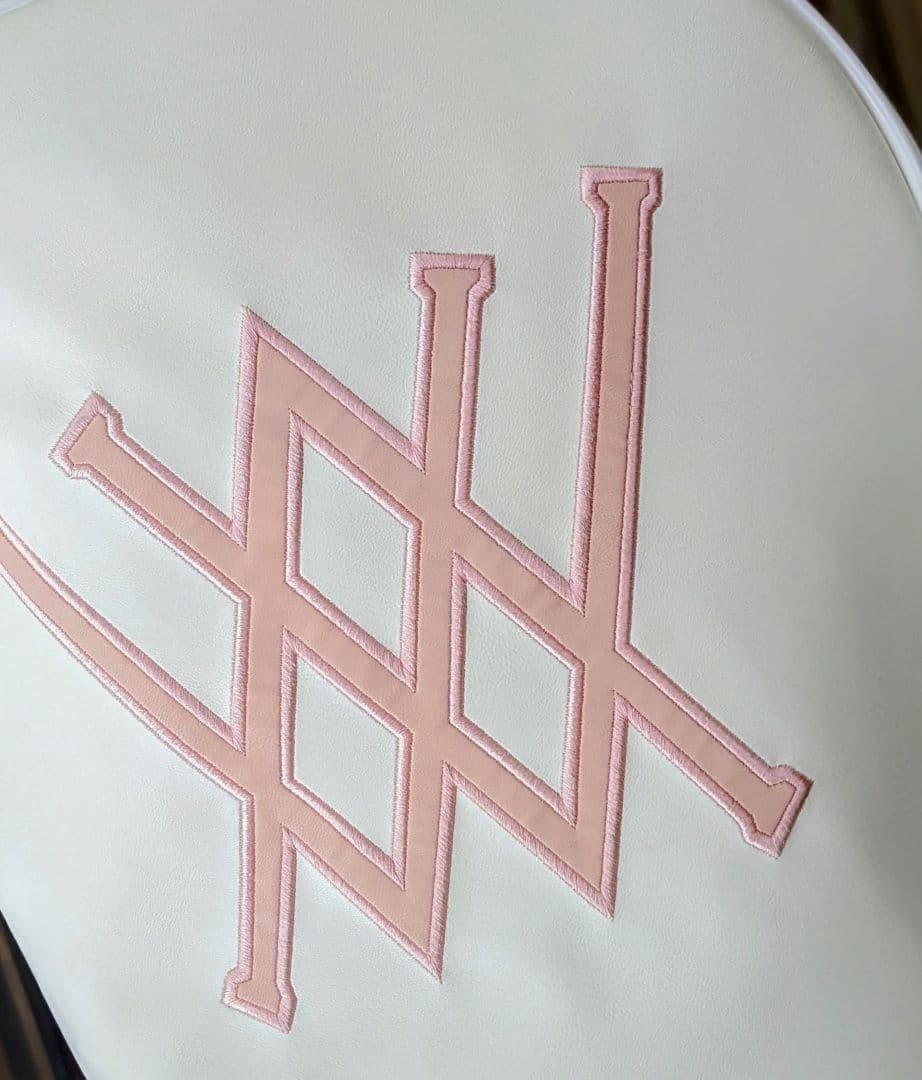 ANEW （美品）⭐️ スタンドキャディバッグ　透明カバー、ベルト未使用