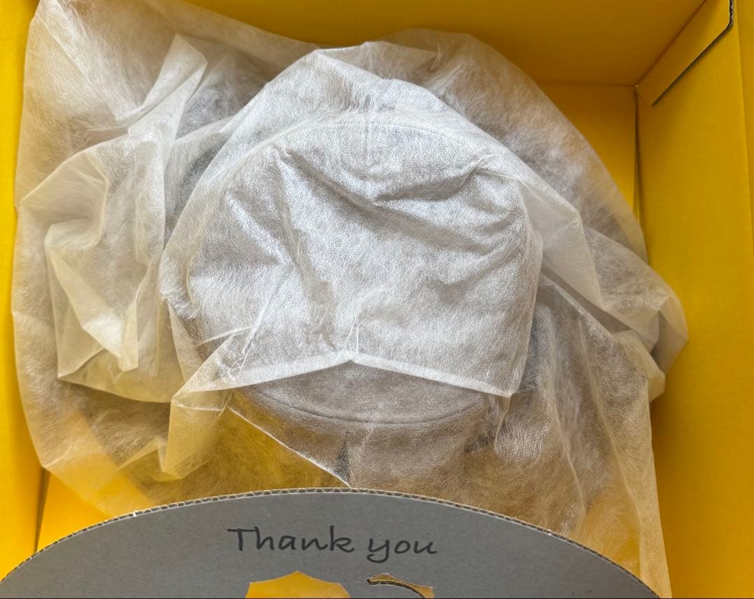 サンバリア100 ウインドハット　モカ　M