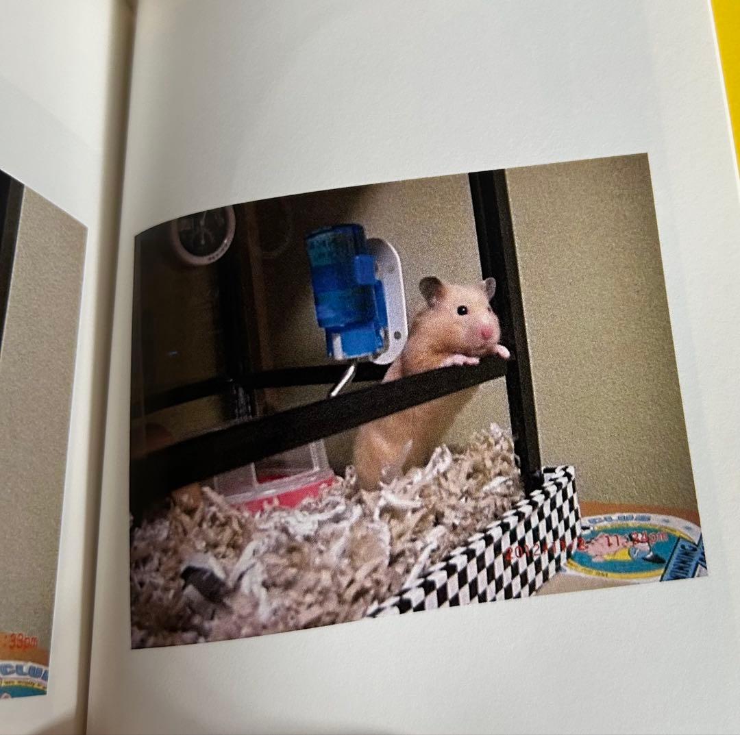 爬虫類・ハムスターケージ みどり商会ケースバイケース（ヒーター付）①