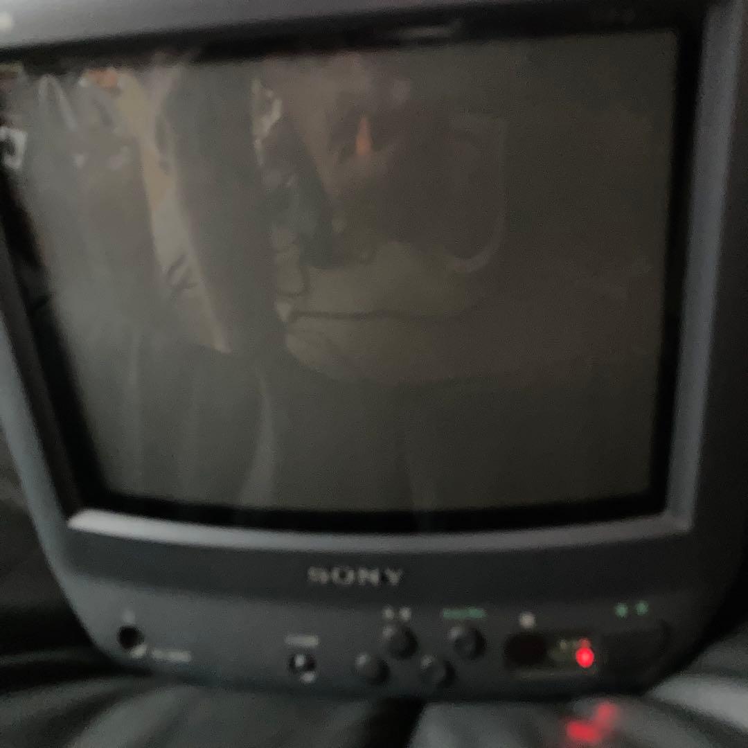 Sony Trinitronブラウン管テレビ