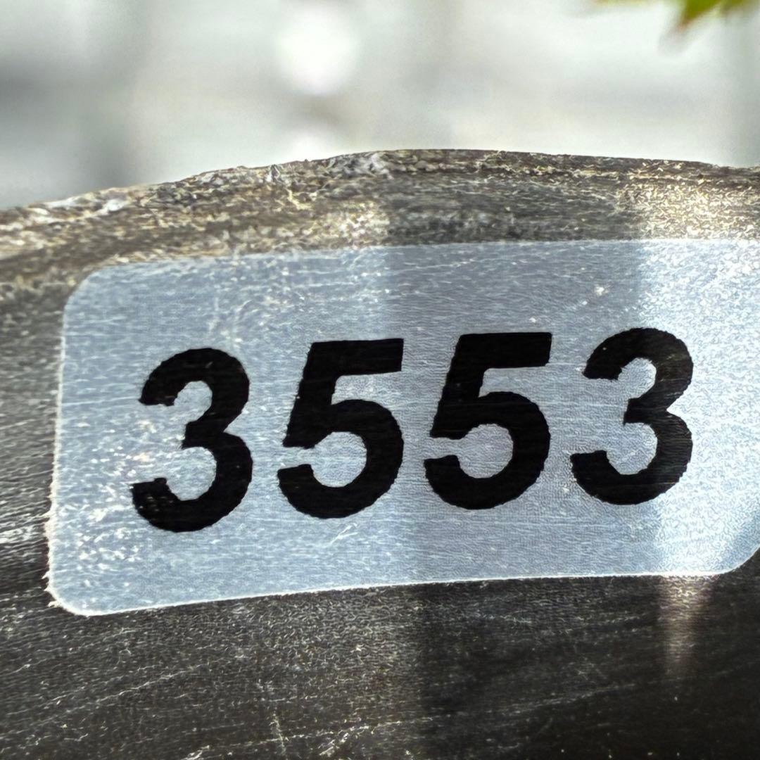 ま*こ様 3553☘️蕾花付き☘️⭐️黒⭐️超多弁⭐️艶フラッシュ⭐️スクリュー