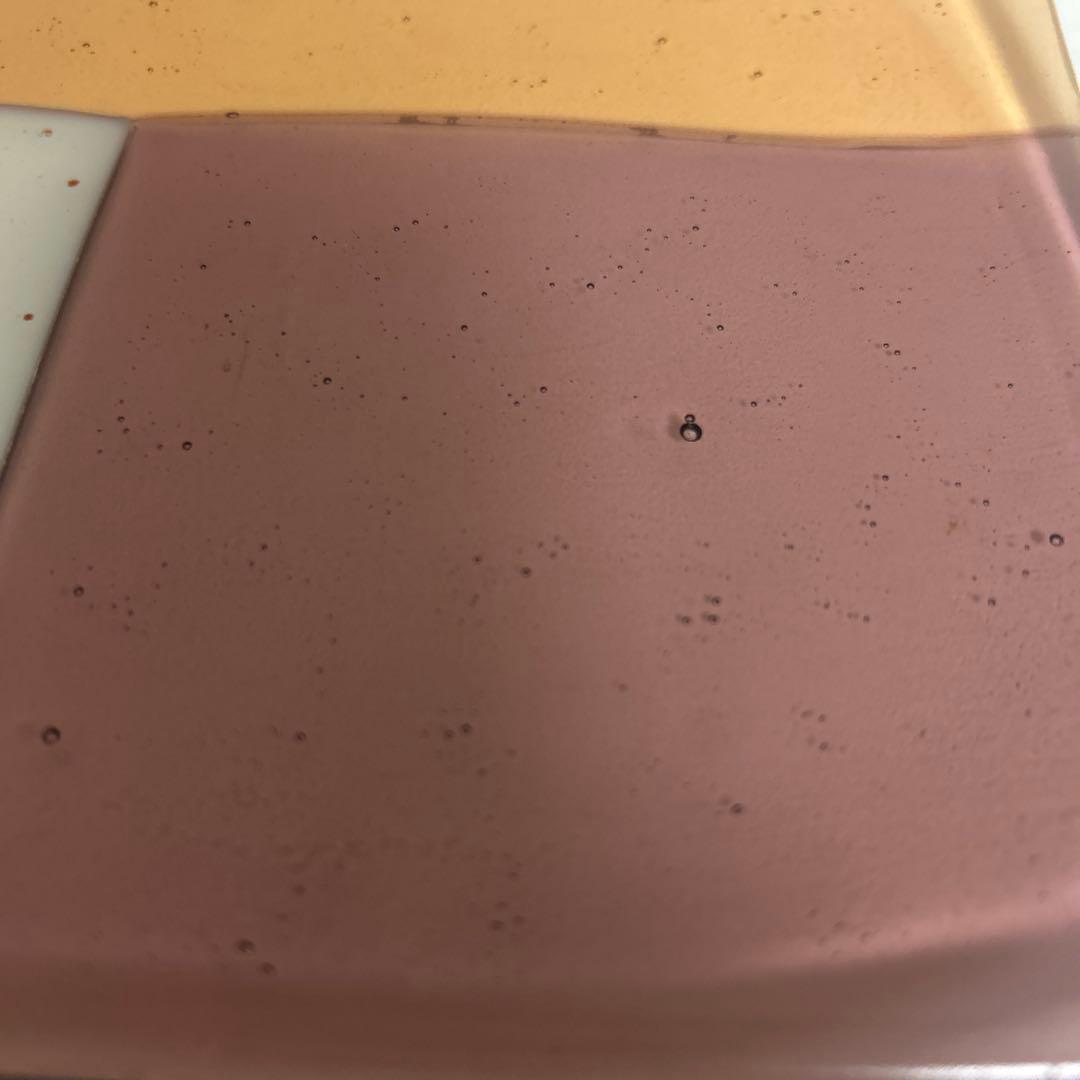 作家　ガラス作家　角皿　四角皿　プレート　ドット　ピンク×オレンジ