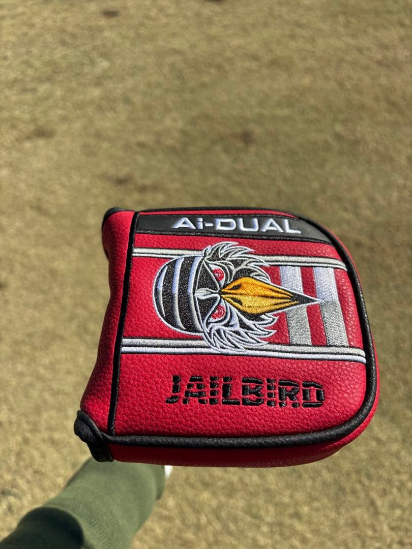 Ai-DUAL Square 2 Square JAILBIRD 34インチ