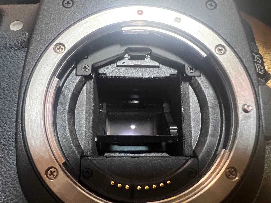 CANON 一眼レフカメラ +α まとめ売り