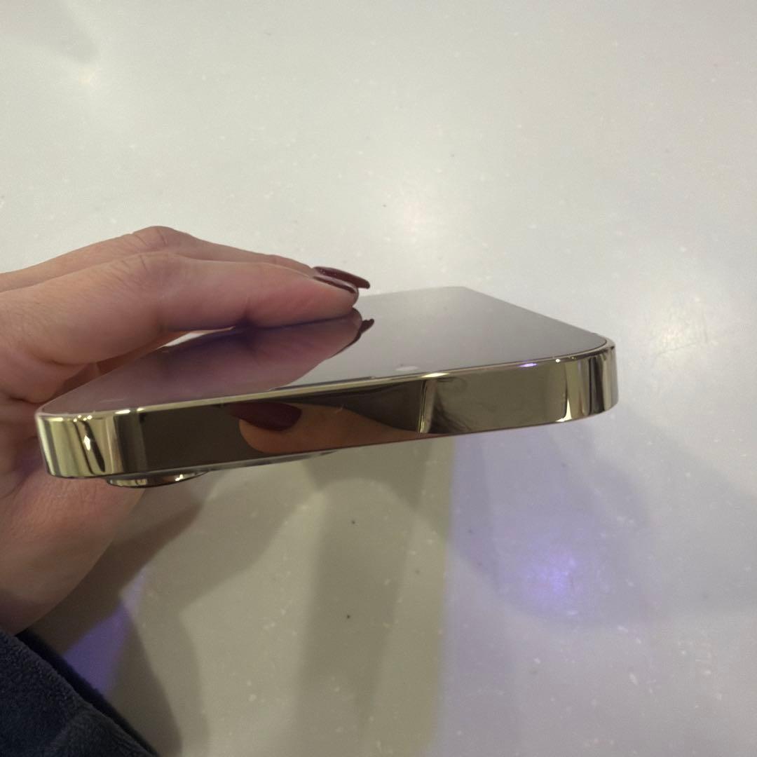 Apple iPhone 13 Pro ゴールド 本体　ジャンク品　256GB