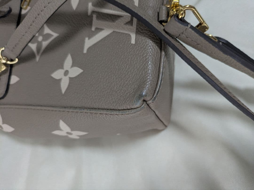 Louis Vuitton タイニーバックパック